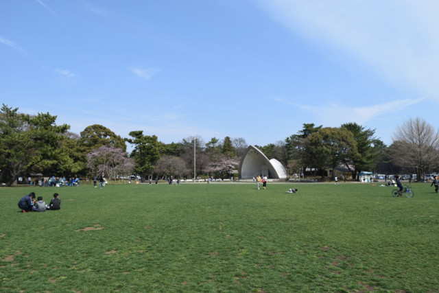 平塚市総合公園